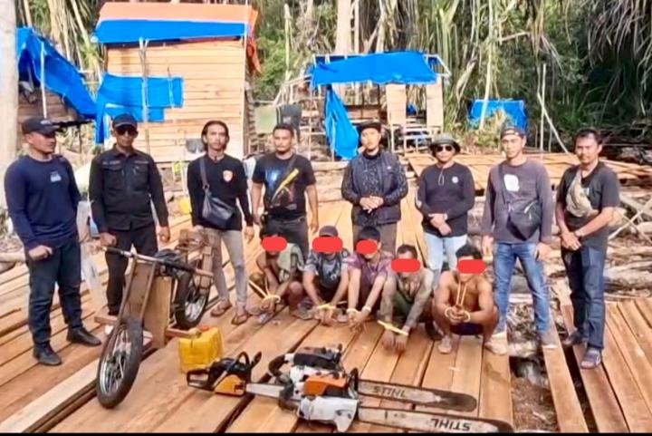 Polres Pelalawan Ungkap Illegal Logging, 6 Pelaku Ditangkap