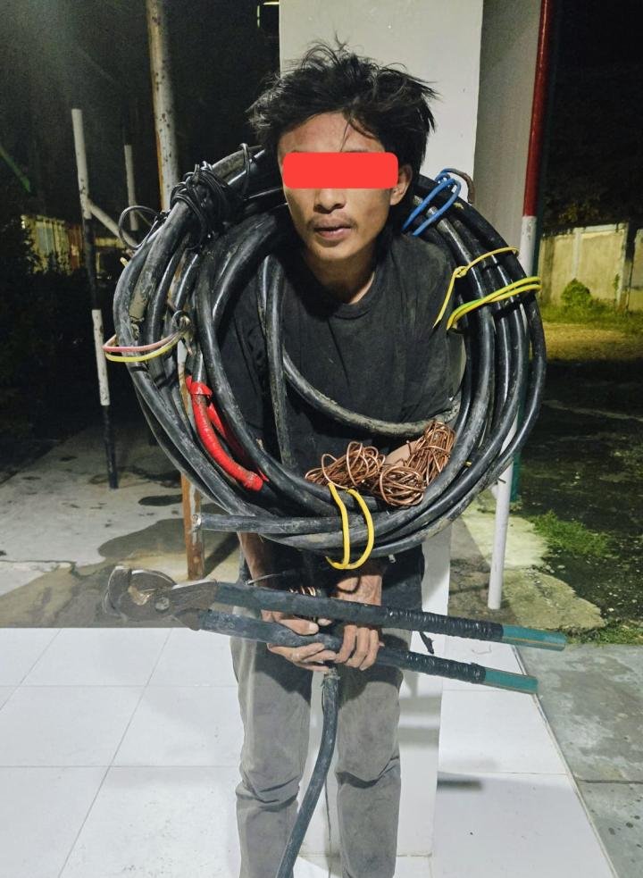 Spesialis Pencuri Kabel Ditangkap Securiti PT RAPP, Komplotan dan Penadah Diburu Polisi