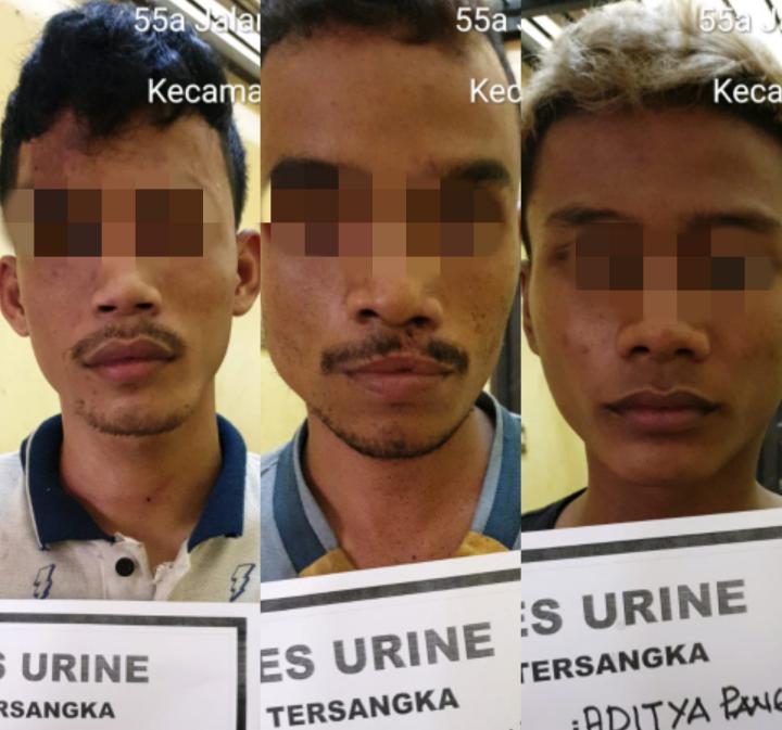 Sembunyi di Atap Ruko, Tiga Pencuri Sarang Walet Ditangkap 