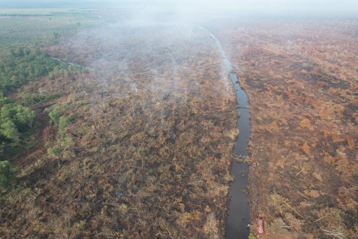 OMC Diintensifkan untuk Tiga Klaster Penanganan Karhutla di Riau