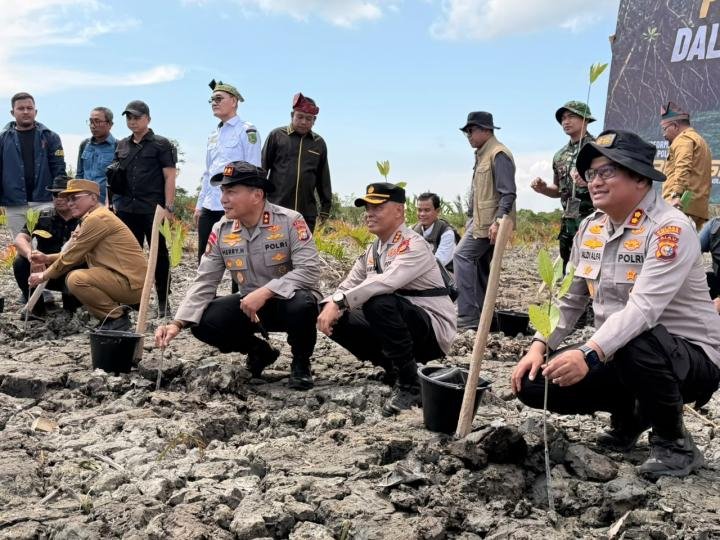 Kapolda Riau Pimpin Rehabilitasi Hutan Mangrove yang Digunduli Dua Tersangka
