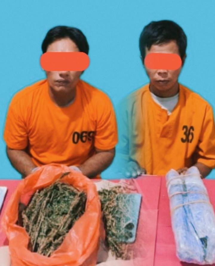 Polres Pelalawan Tangkap Dua Pengedar Narkotika, Sita 1,2 Kg Daun Ganja Kering