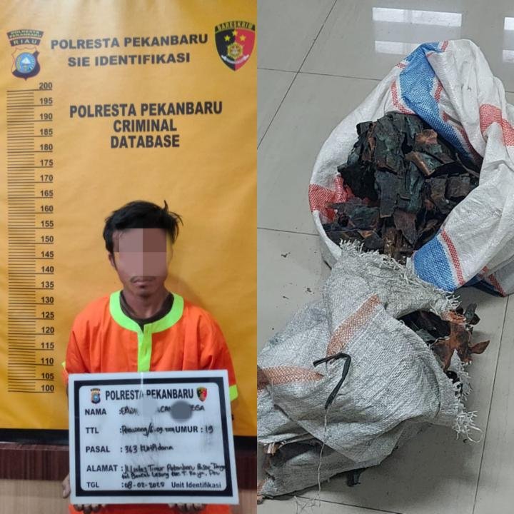 Pencuri Lempeng Tembaga Tugu Zapin Ditangkap 