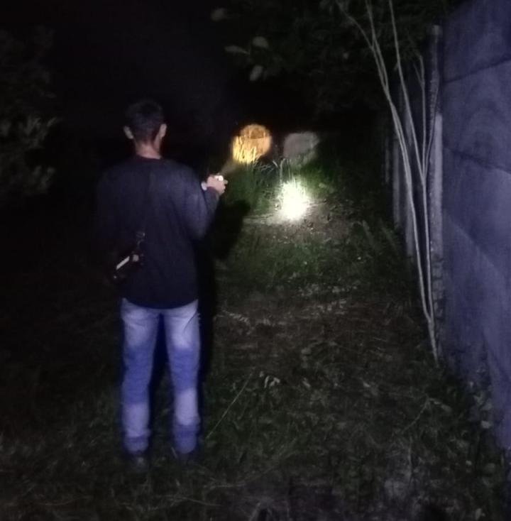 BBKSDA Riau Halau Kawanan Gajah lantaran Mendekati Kebun dan Rumah Warga 