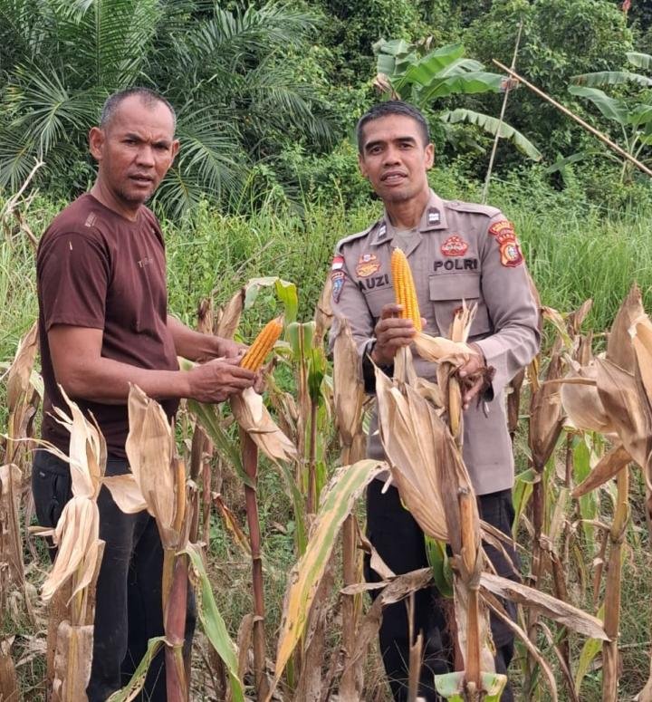 Petani Apresiasi Dukungan Polsek Rupat, Berharap Kolaborasi yang Telah Terjalin Terus Berlanjut