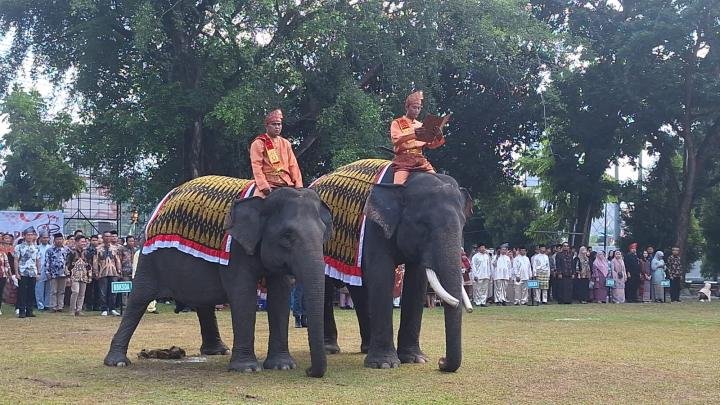 BBKSDA Riau Libatkan Dua Gajah Sumatera Jadi Peserta Upacara HUT ke-80 RI, Simbol Harmoni