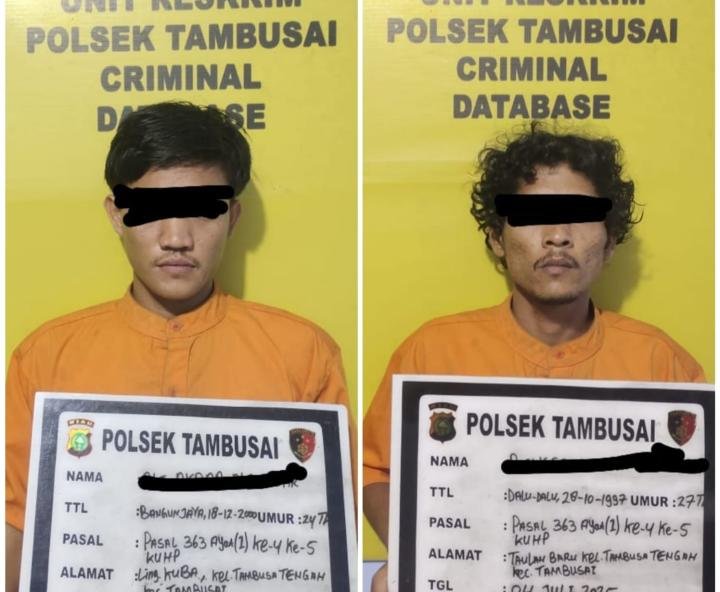 Curi Motor Terparkir, Dua Pemuda Tambusai Ditangkap Polisi