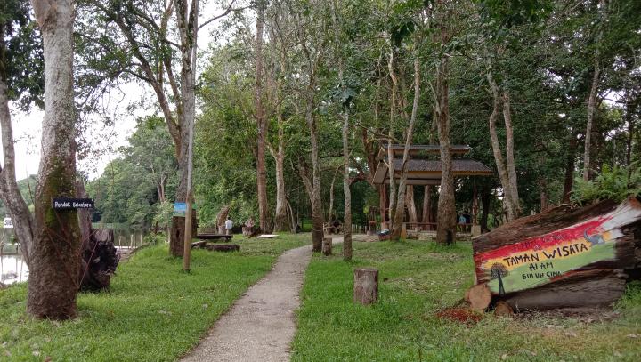 Menyaksikan Gajah Sumatera di Taman Wisata Buluh Cina