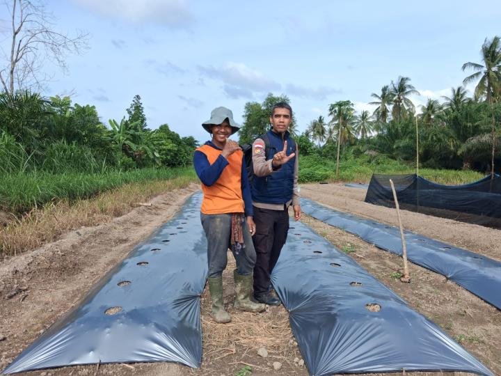 Wujudkan Ketahanan Pangan, Polsek Rupat Dorong Petani Kembangkan Lahan Pertanian