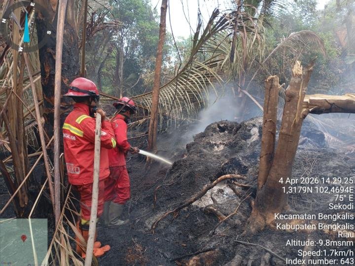 Tim Manggala Agni Sukses Halau Api Masuk Permukiman 