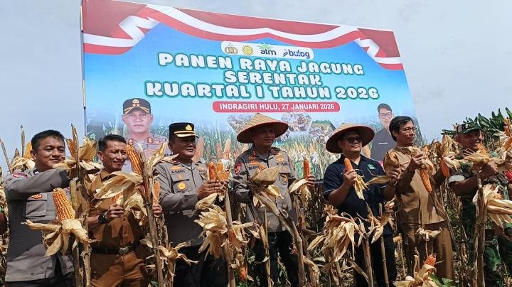 Kapolres Inhu Panen Jagung Bersama PT PAS, Kekuatan Swasembada Pangan Negara dari Desa