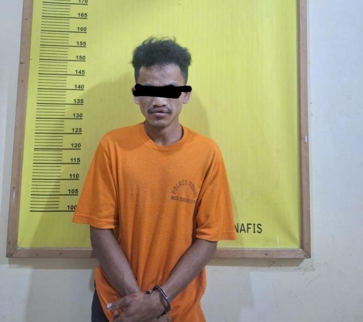 Bacok Istri Toke Sawit, Pencuri Brondolan Ditangkap Polsek Tambusai Utara