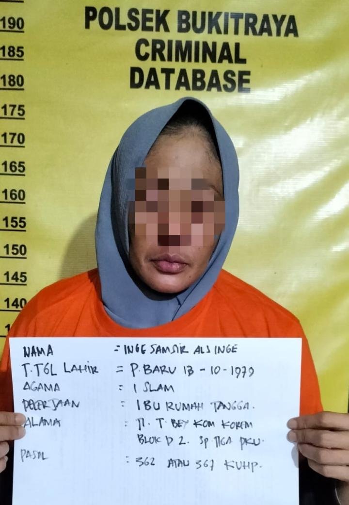 Candu Sabu, Tante Curi Motor Keponakan