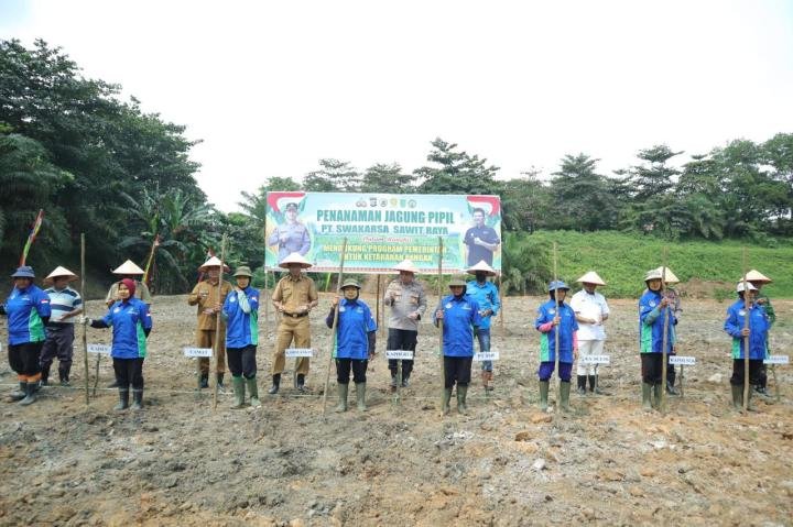 Polres Inhu Gandeng SSR Manfaatkan Lahan Kosong di Area Pabrik Jadi Ladang Jagung