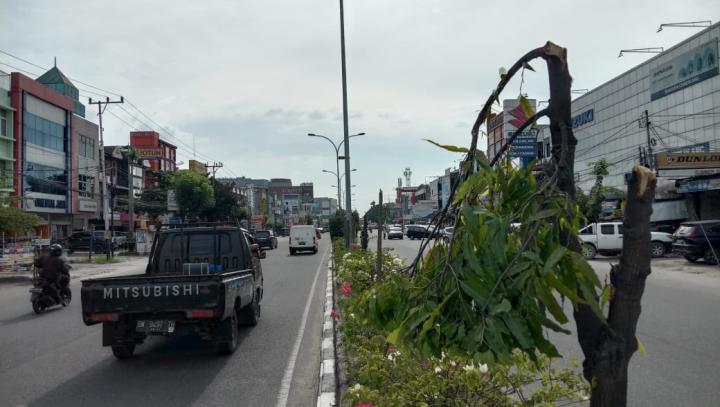 Tak Terpantau CCTV, Mampukah Polisi Tangkap Penebang 83 Batang Pohon?