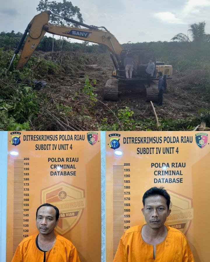 Rambah Bukit Rimbang Baling, Operator dan Penyewa Alat Berat Diamankan Polda Riau
