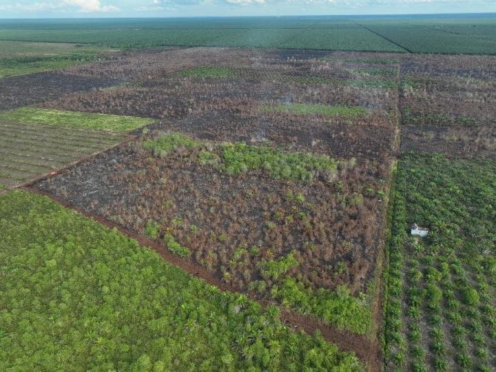 Manggala Agni dan Tim Gabungan Berhasil Padamkan Sejumlah Titik Api di Bengkalis 