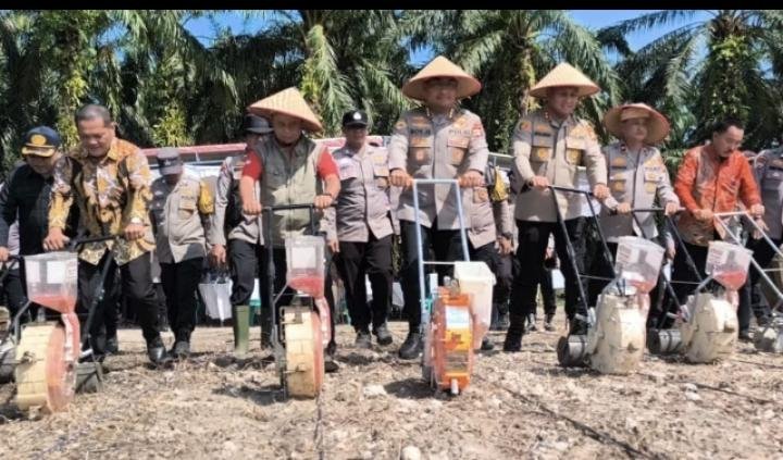 Langkah Nyata Dukung Swasembada Pangan, Polda Riau Perluas Lahan Jagung di Kandis