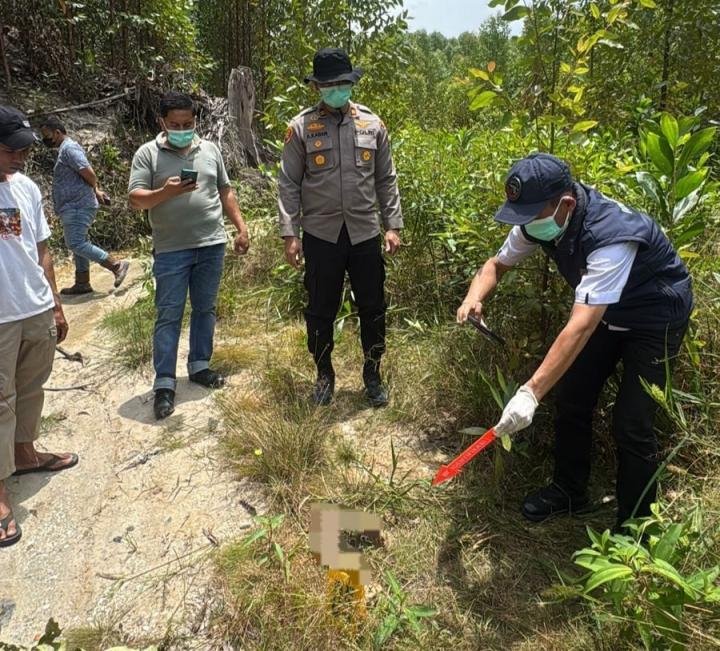 Kerangka Manusia Ditemukan Berserakan di Areal PT RAPP 