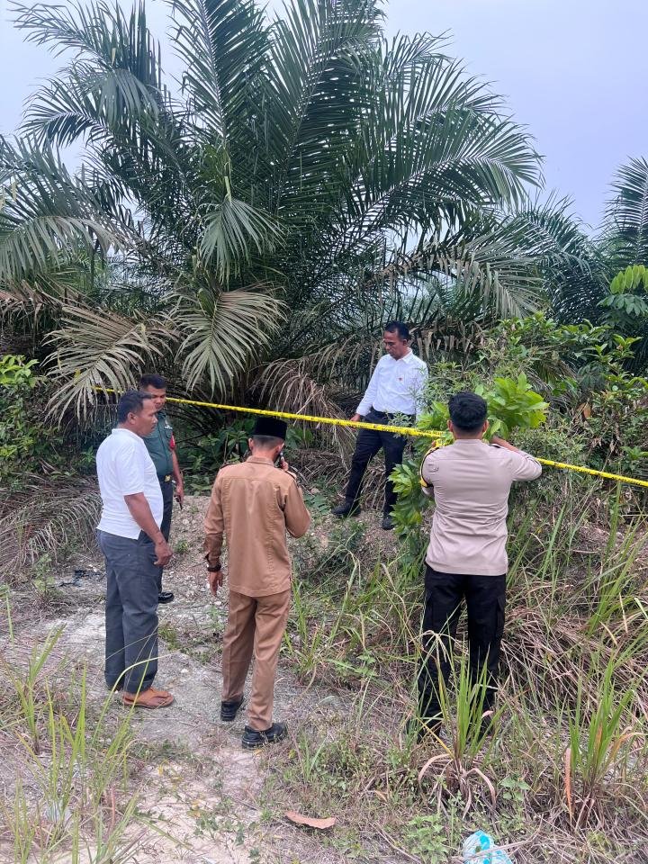 Bayi Dibuang Orang Tua di Kebun Sawit Wilayah Kecamatan Tambang, Tubuh Digigit Anjing