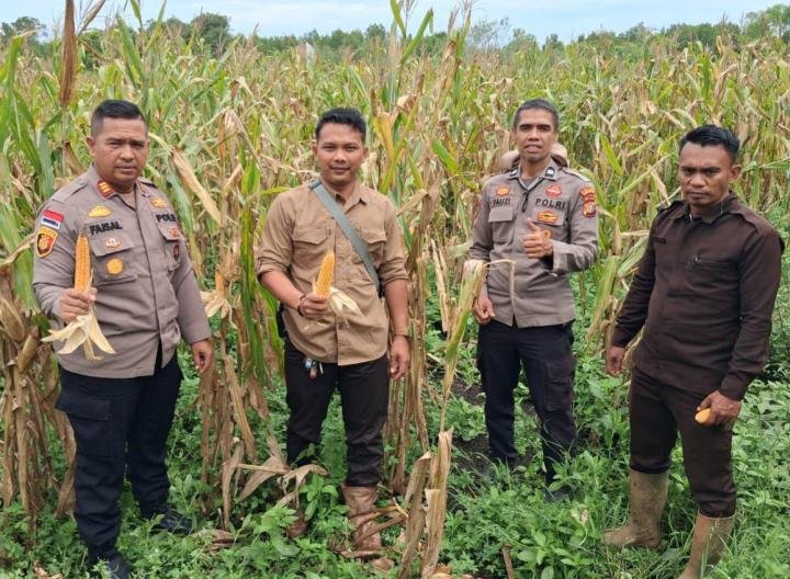 Polsek Rupat-PT MMJ Sokong Kedaulatan Ketahanan Pangan Nasional