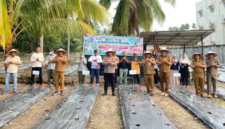 Dukung Ketahanan Pangan Nasional, Polsek Rupat Utara Tanam Jagung Pipil di Desa Kadur