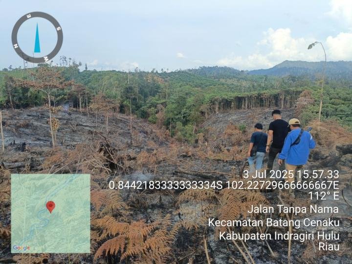 Polisi Tangkap Pelaku Pembakaran Lahan 1 Hektare di Inhu, Berkat Dashboard Lancang Kuning
