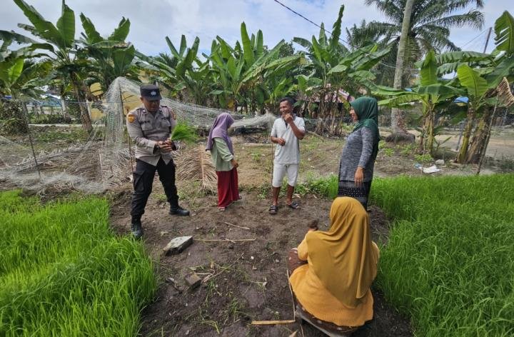 Bantu Petani Semai Bibit Padi, Aipda Fatzil Selipkan Pesan Kamtibmas Pilkada