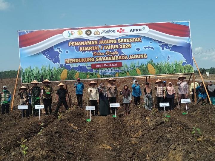 Wujudkan Ketahanan Pangan, Polres Siak Bersinergi dengan PT RAPP Tanam Jagung 40 Hektare