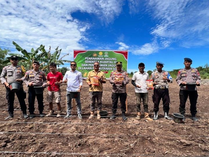 Polsek Rupat Bersama Kelompok Tani Tanam Jagung Serentak Kuartal III Satu Hektare