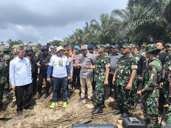311 Hektar Lahan Sawit Ilegal di TNTN Dikembalikan Masyarakat ke Negara