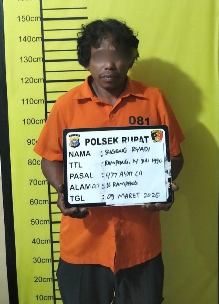 Polsek Rupat Ringkus Ninja Sawit, Sita 158 TBS