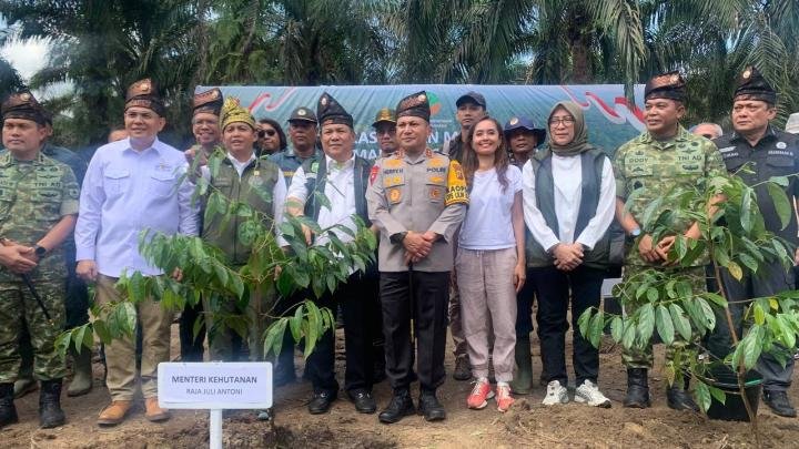 Selamatkan TNTN, Pemerintah Tumbangkan Tanaman Sawit di Pelalawan