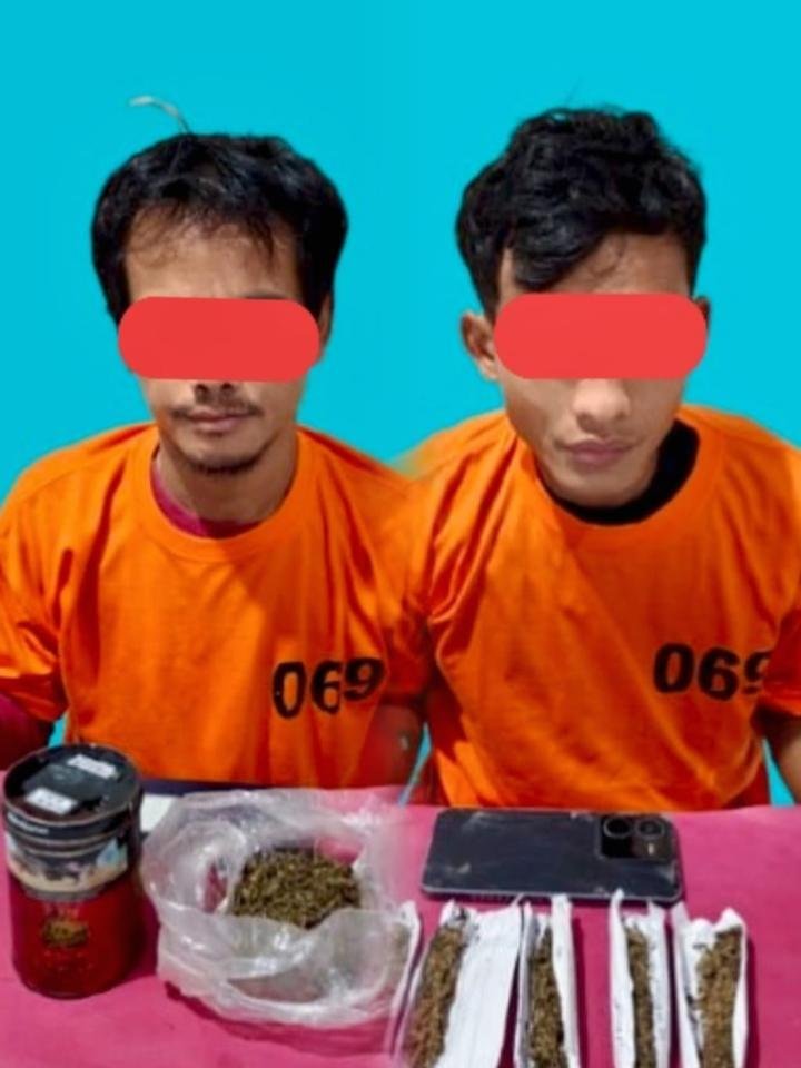 Polres Pelalawan Tangkap Dua Buruh Edarkan Daun Ganja