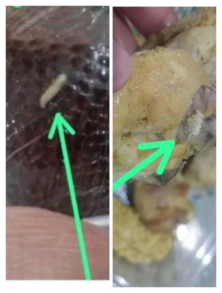 Wali Murid SDN 11 Tualang Temukan Telur Lalat di Ayam dan Buah MBG Tualang