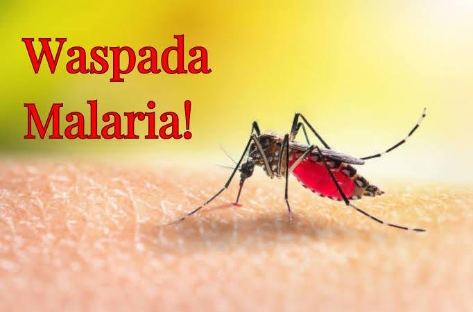 Kasus Malaria di Pekanbaru Nihil, Warga Diimbau Tetap Waspada