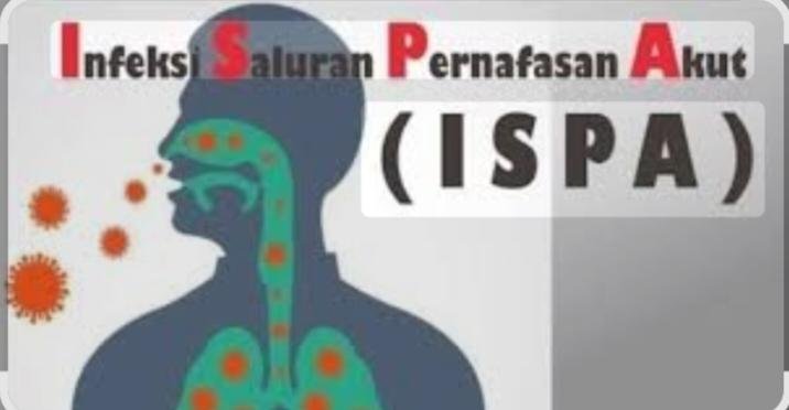 Pekanbaru Diselimuti Kabut Asap, 3.028 Warga Terserang ISPA