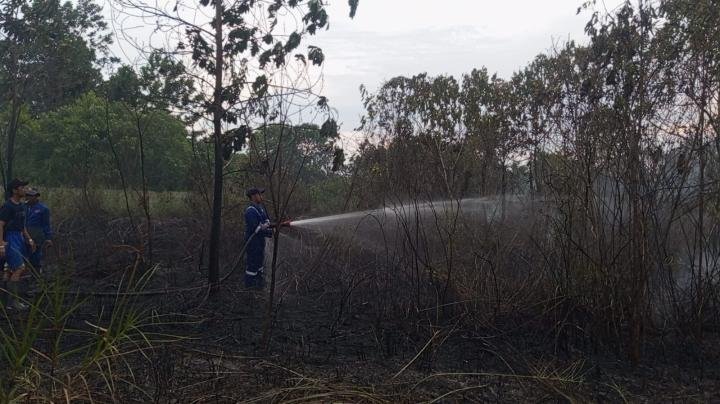Karhutla Mengancam Pekanbaru, BPBD Klaim Kualitas Udara Masih Baik