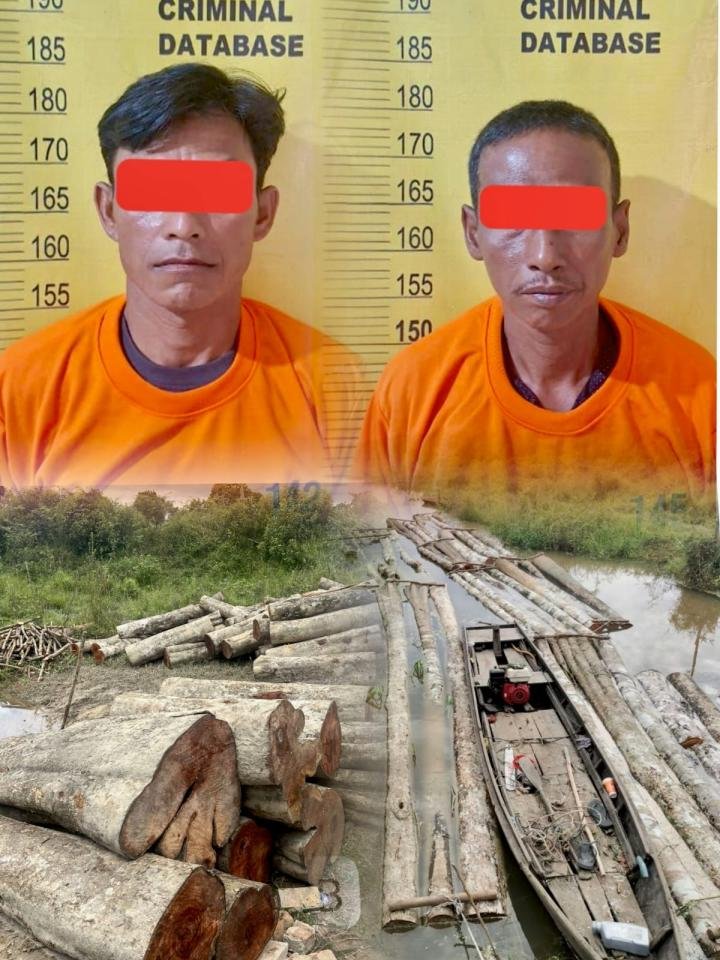 Polsek Langgam Tangkap Dua Pelaku Ilegal Logging, Ratusan Batang Kayu Gelondongan Disita