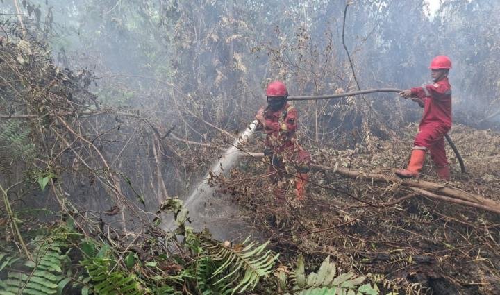 Manggala Agni Tambah Personel Padamkan Karhutla di Rohil, Diperkirakan Capai 44 Hektare