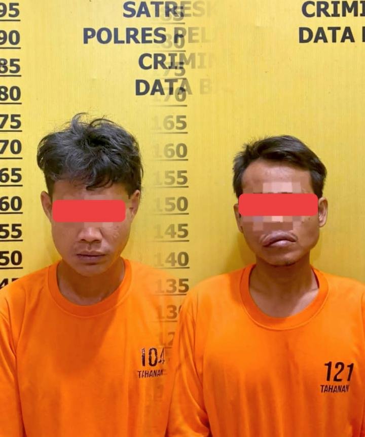 Dua Pembobol Ruko Diringkus Polres Pelalawan, Dipancing Korban untuk COD