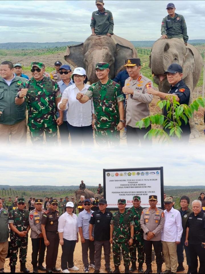 Tim Satgas PKH Beri Waktu 3 Bulan: 81 Ribu Hektare Kawasan TNTN Harus Dikosongkan!