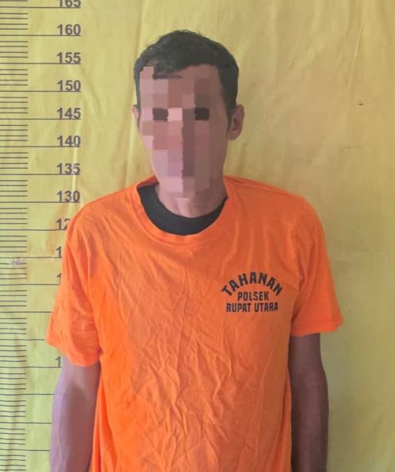 Bakar 35 Hektare Kawasan Hutan Produksi, Warga Bengkalis Ini Ditahan