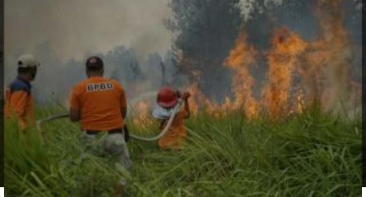 Kabut Asap Mengancam, 200 Hotspot Kepung Riau 