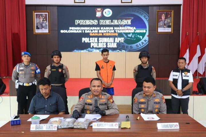 Polres Siak Tangkap Tangan Bandar Ganja Kering, 2,2 Kg Lebih BB Diamankan