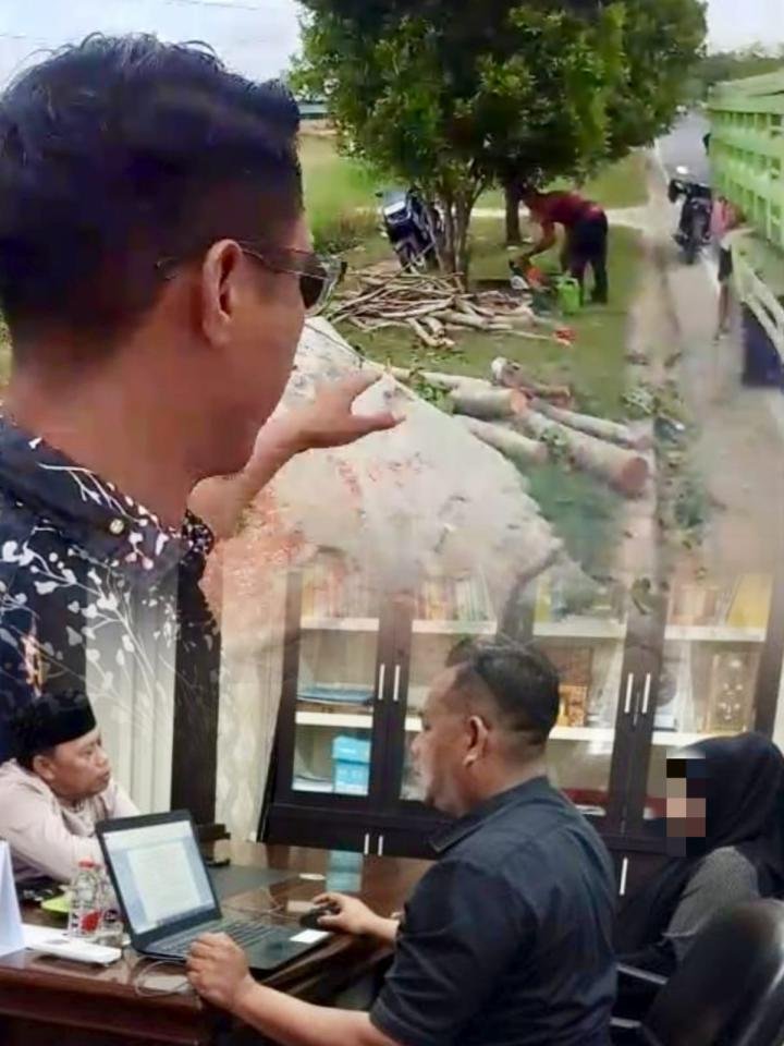Satpol PP Pelalawan Periksa Warga Tebang Pohon di Jalan Protokol