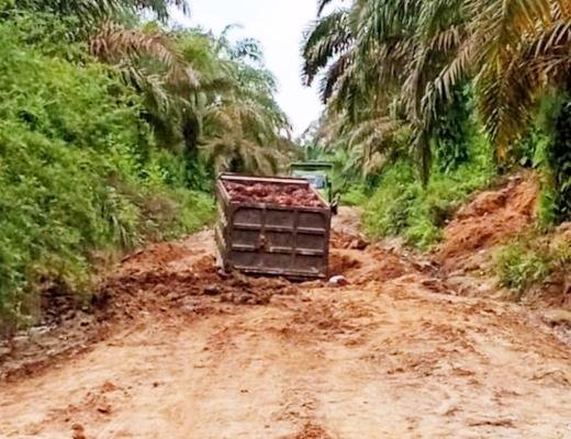 Jalan Desa Muara Jaya Rusak Parah, Warga Minta Pemkab Rohul Segera Perbaiki