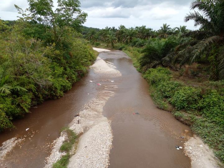 Diduga Akibat Limbah PT ASMJ, Aliran Sungai Bawang Kuansing Menghitam