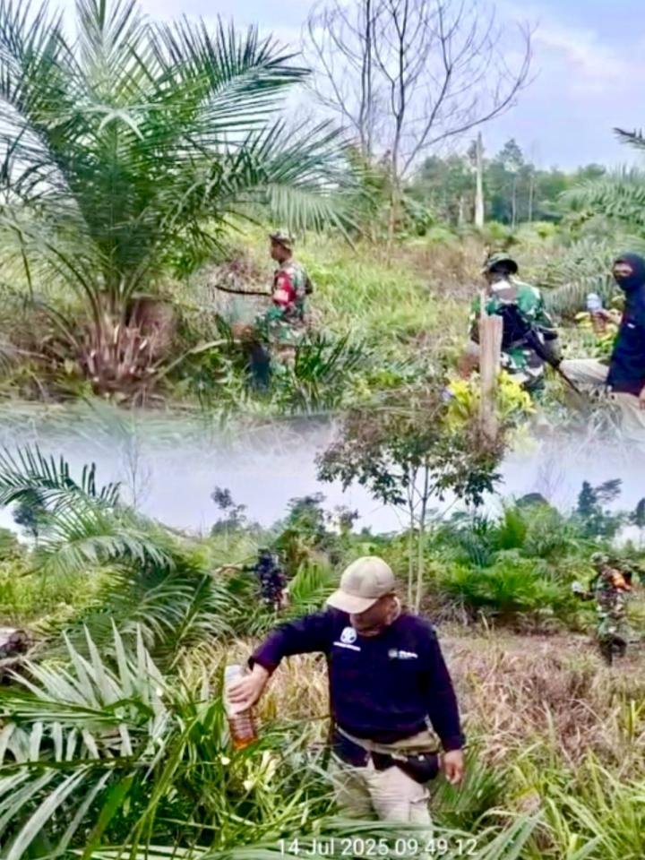 Satgas PKH Terus Babat Lahan Sawit di Dalam Kawasan Hutan Konservasi TNTN