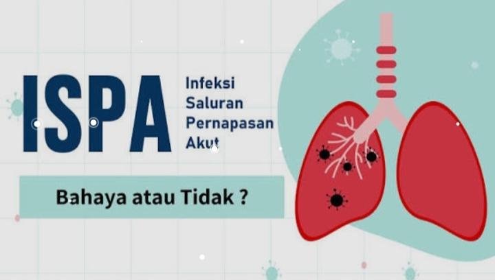 Kabut Asap Mulai Hilang, Warga Pekanbaru Terdampak ISPA Capai 4.987 Orang
